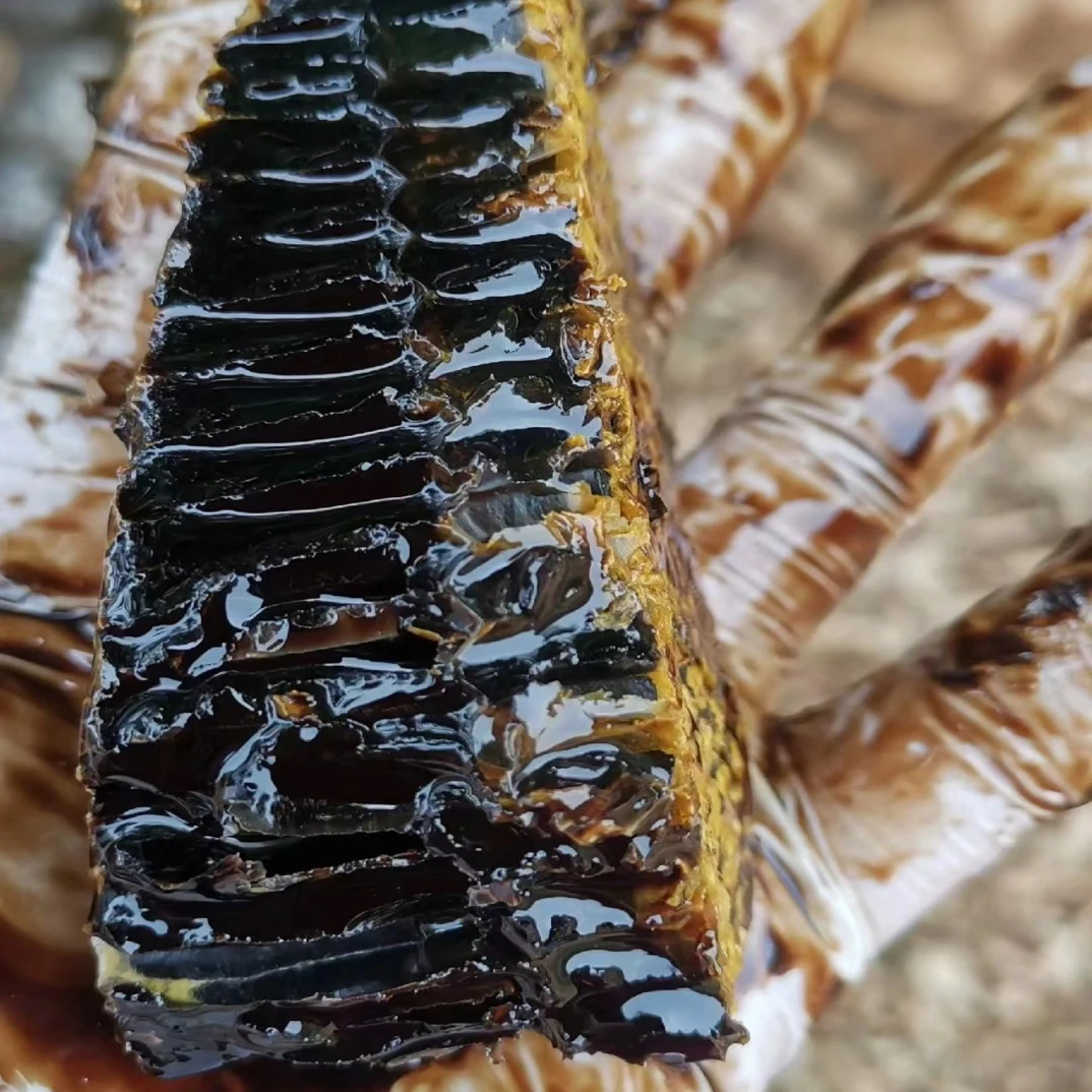大苞鞘石斛兰好养活可室内种植的漂亮花盆栽