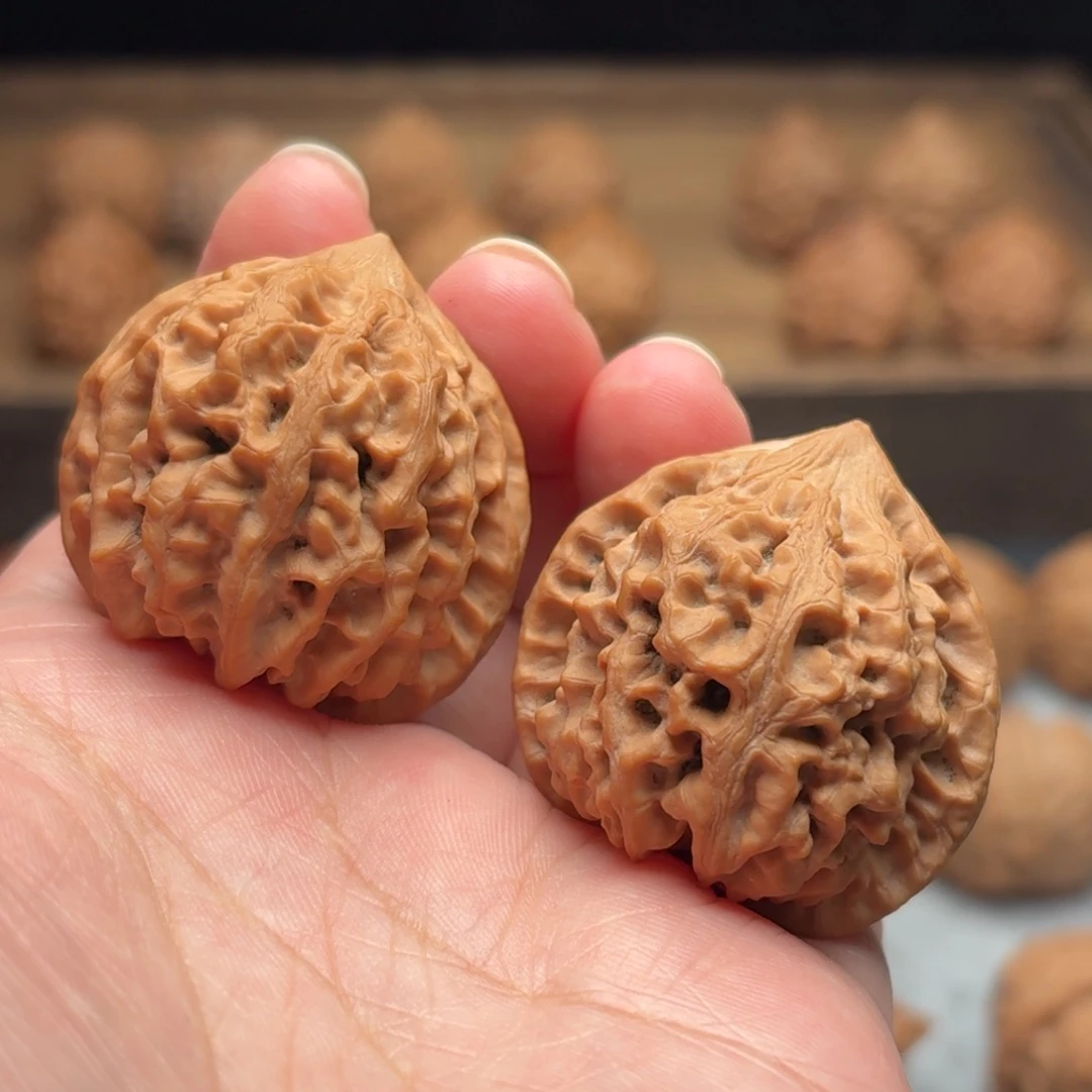 文玩核桃把件太行龙纹【3806】