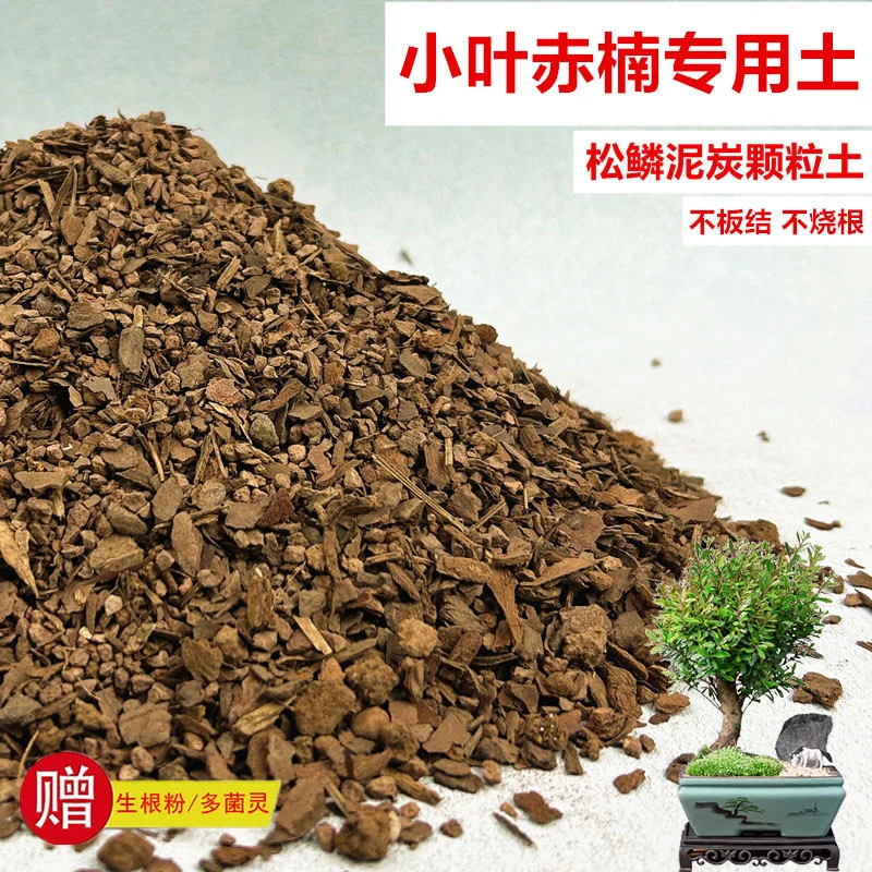 小叶赤楠专用土花土赤玉土风化土盆栽盆景营养土酸性沙质土种植土