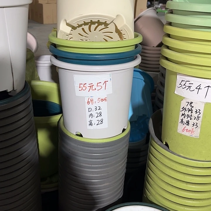 微瑕6#口径32无托果绿5个