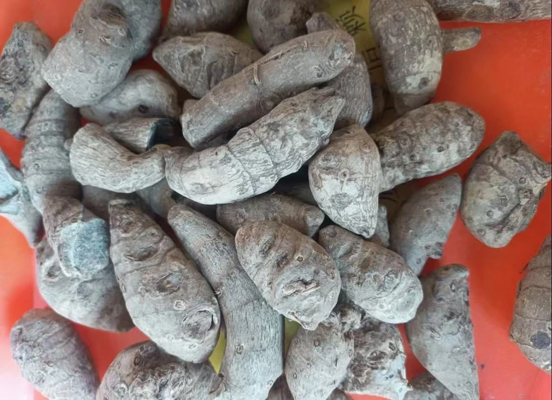 【A静静收山货】雪/三七 土特产