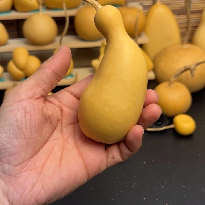 ?*?葫芦葫芦葫芦葫芦葫芦