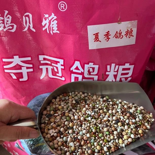 夺冠夏季鸽粮清火去火鸽粮