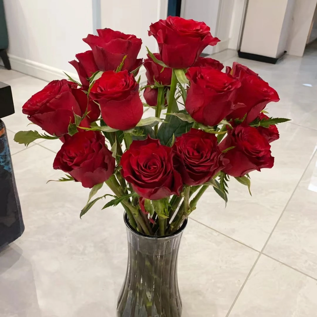 瓶插花【红玫瑰10支】缇娜优选邯郸小时达鲜花送花到家