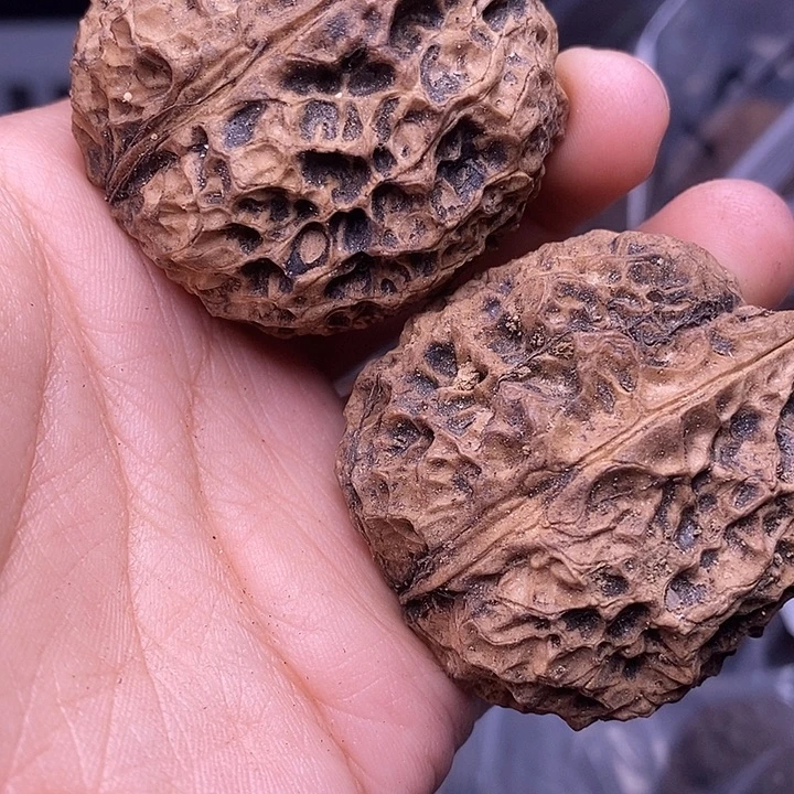杠***花把件文玩核桃   265