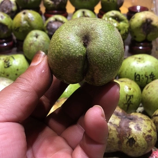 吊坠桃核核桃核桃