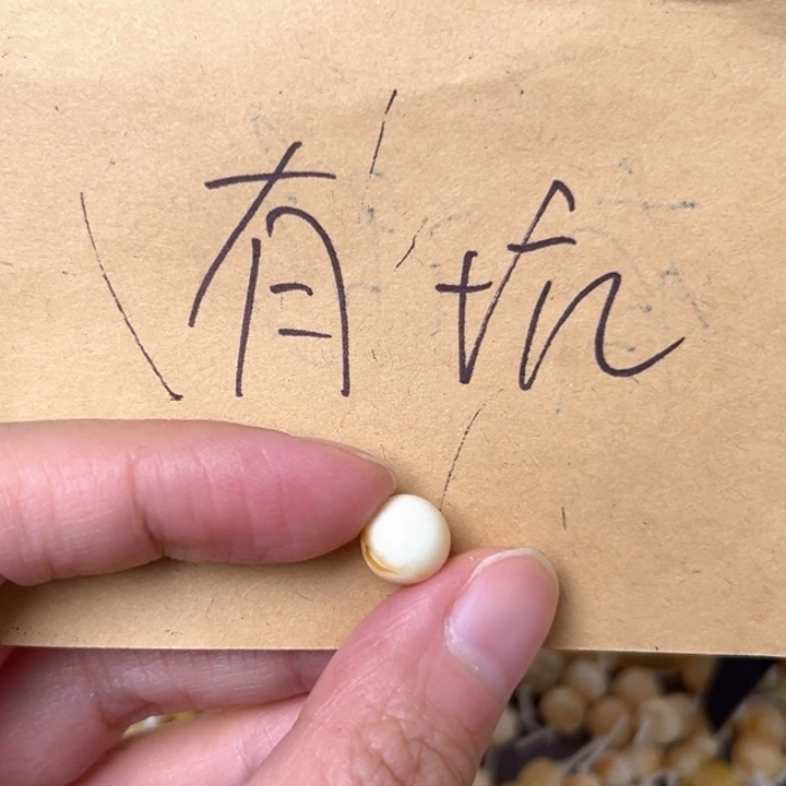 蜜蜡未镶嵌裸石8.8mm一个