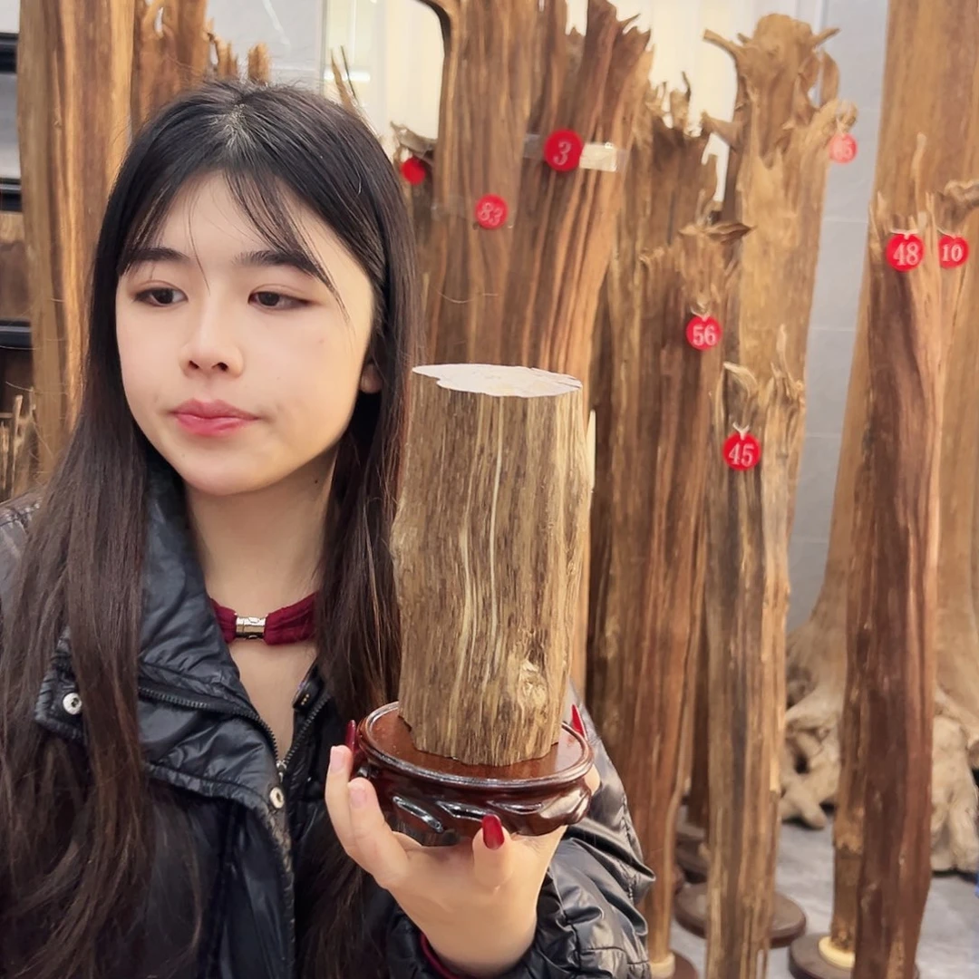 沉香摆件沉香原料摆件工艺品