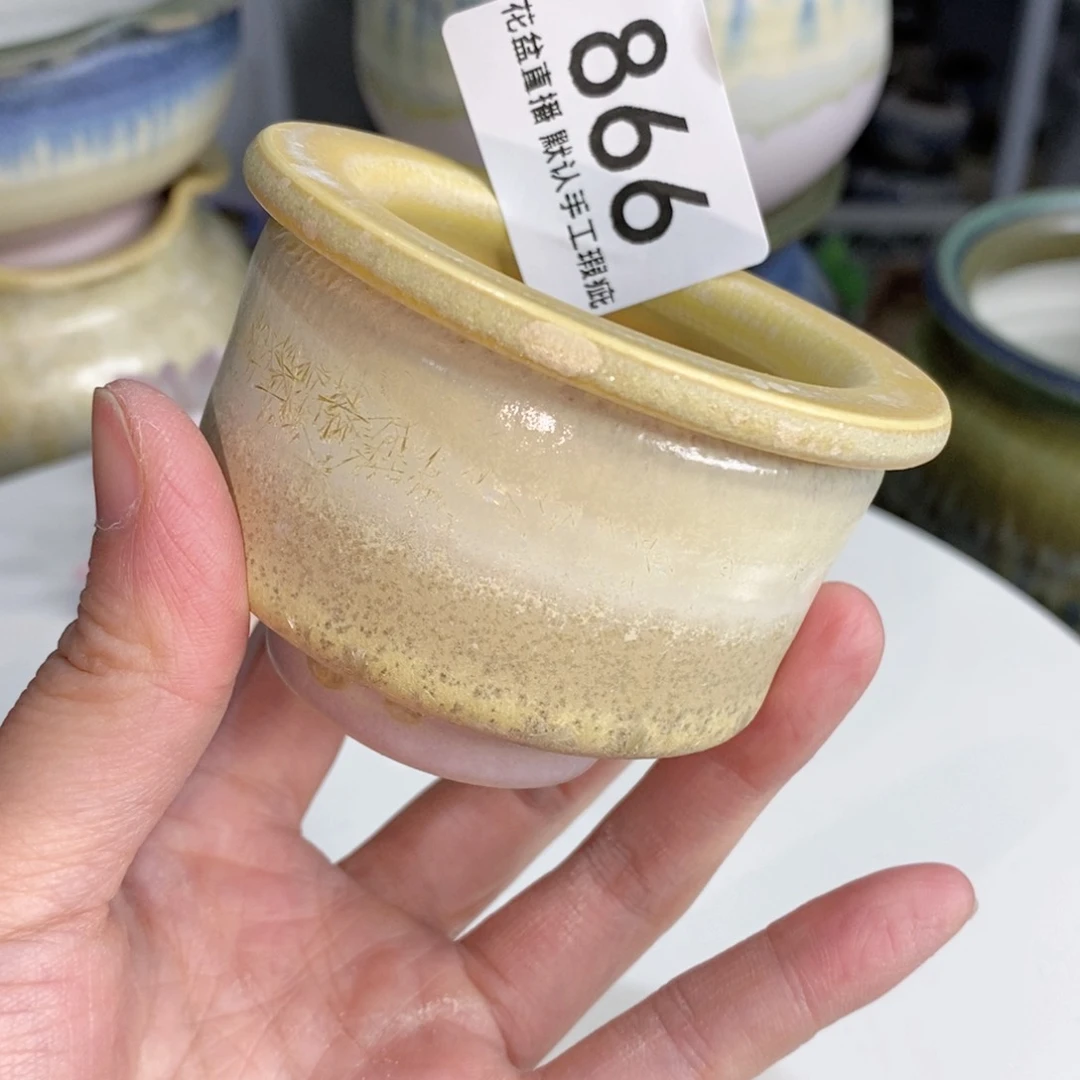 花盆花盆花盆花盆