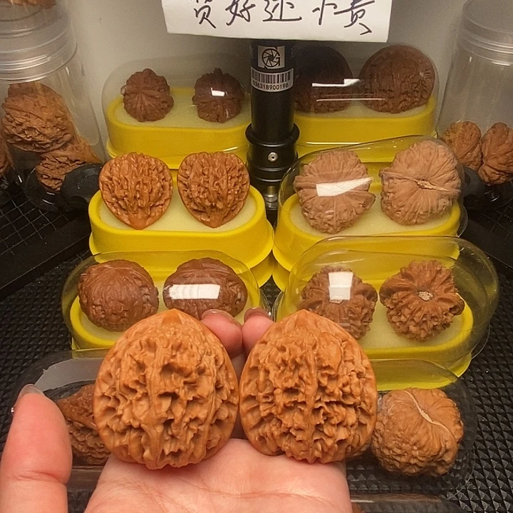 46小众玉麒麟