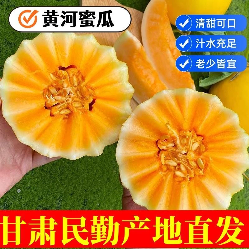 甘肃民勤沙漠蜜瓜金红宝甜蜜多汁新鲜水果产地直发9-10整箱包邮A