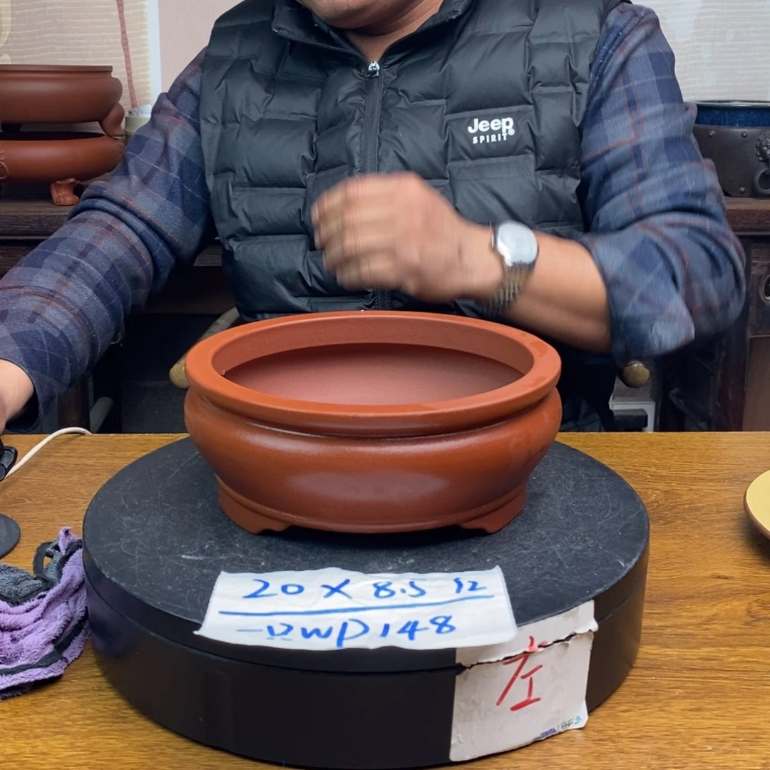 红陶货号一只WP148