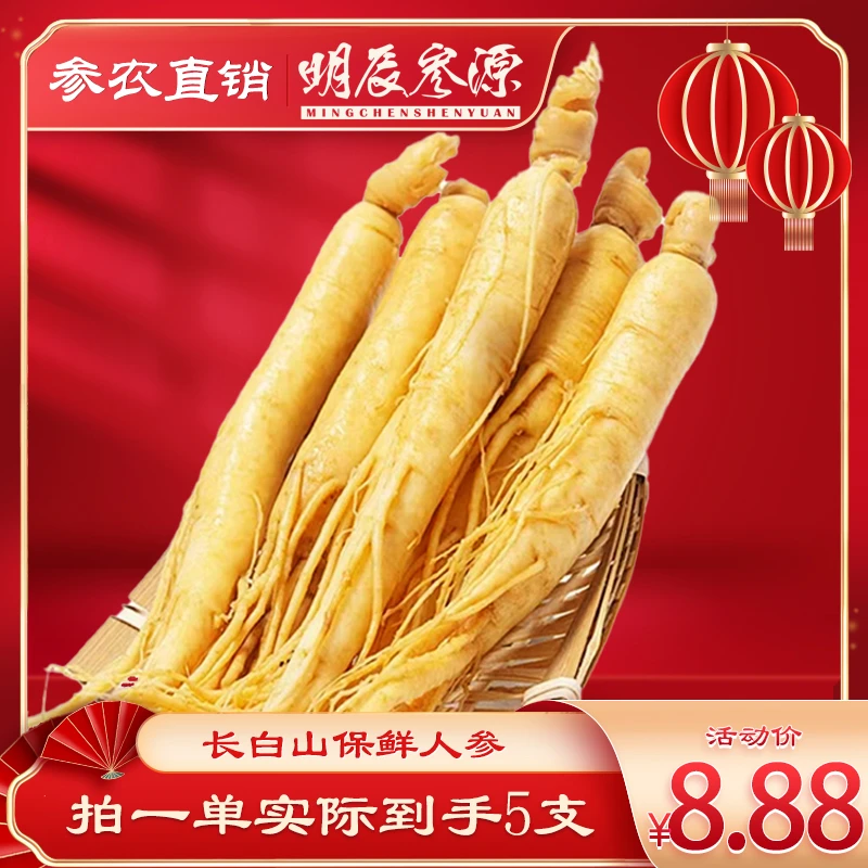 长白山保鲜参独立真空包装到手5支食用人参单支6g花拍1发5