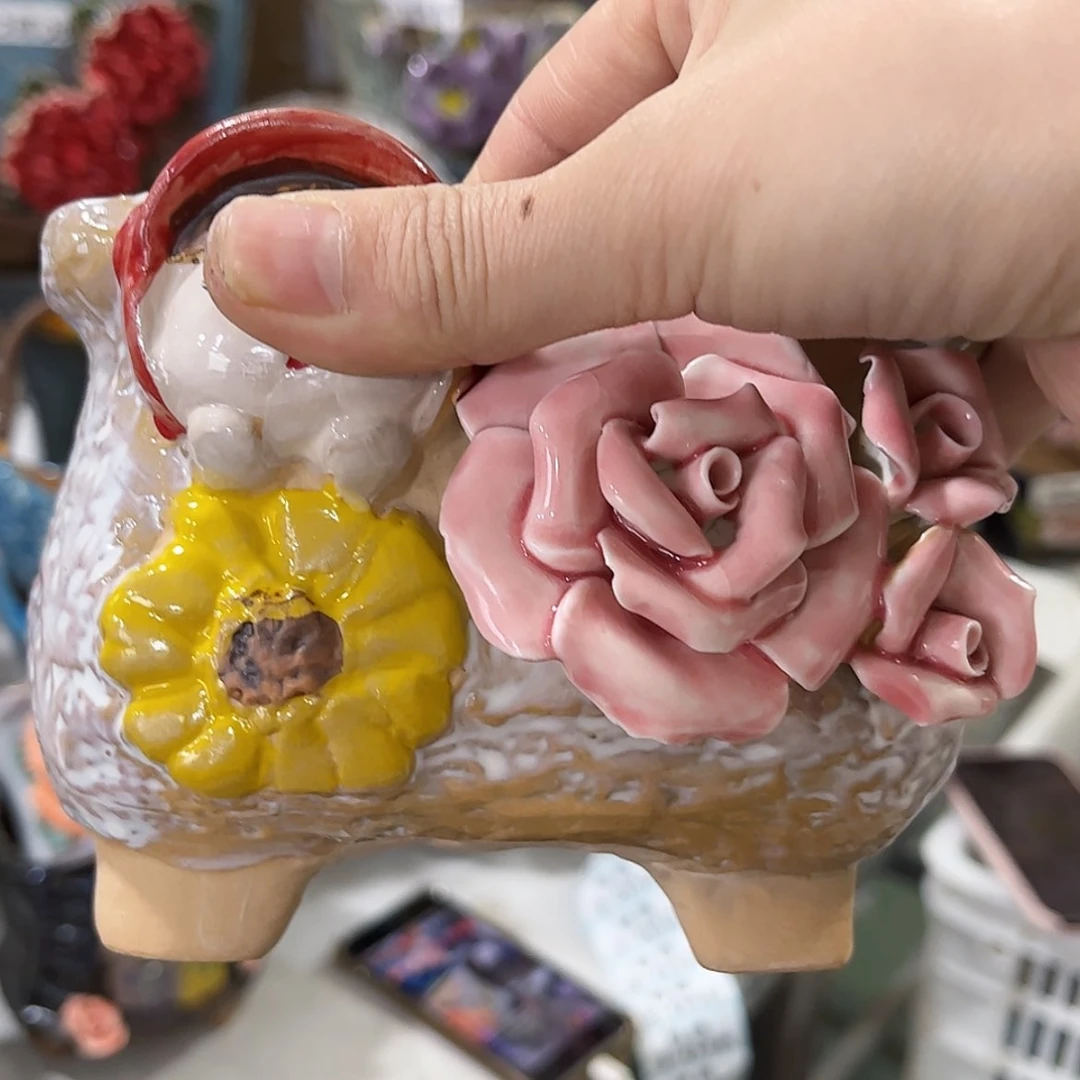 【闪购商品】红陶福利