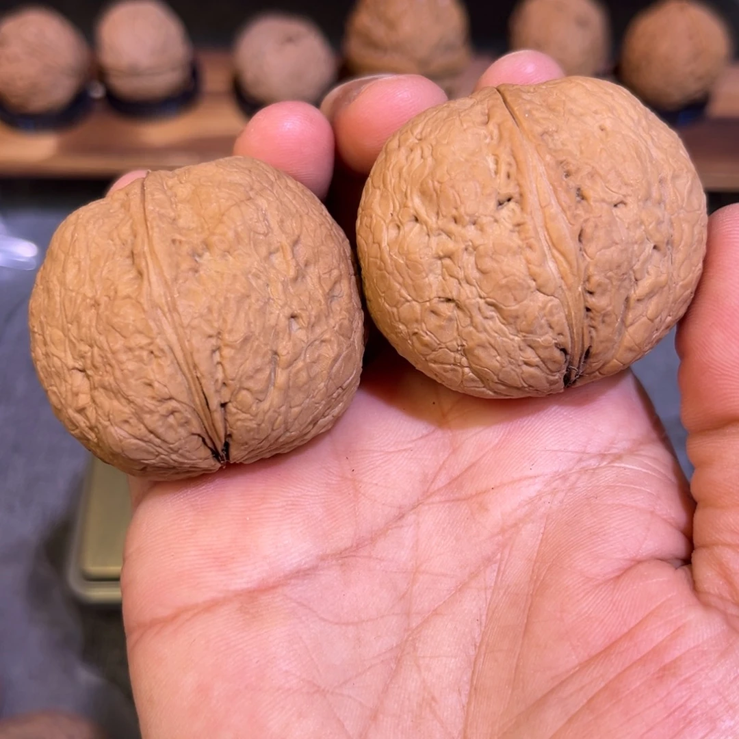 文玩核桃把件红旺云铁23号44mm