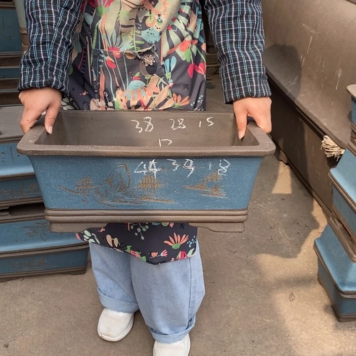 花盆紫砂只顾吃药就可以