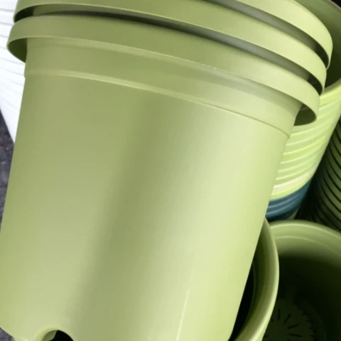 红陶5加果绿无托3个