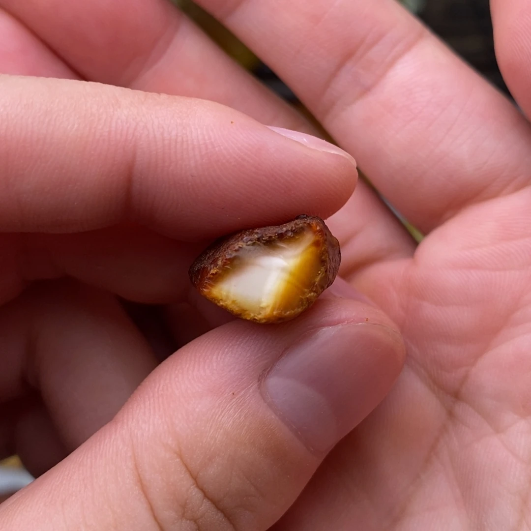 定制琥珀天然蜜蜡