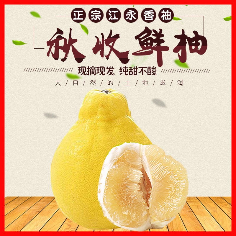 湖南江永县正宗沙田柚新鲜白心水果多汁应季柚子