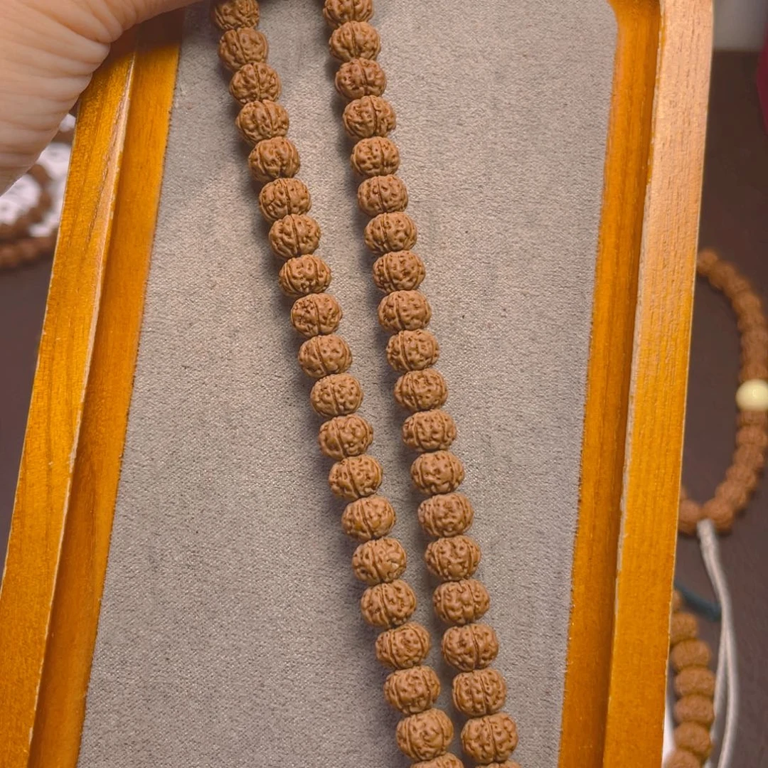 菩提477凹底梅花矮桩8