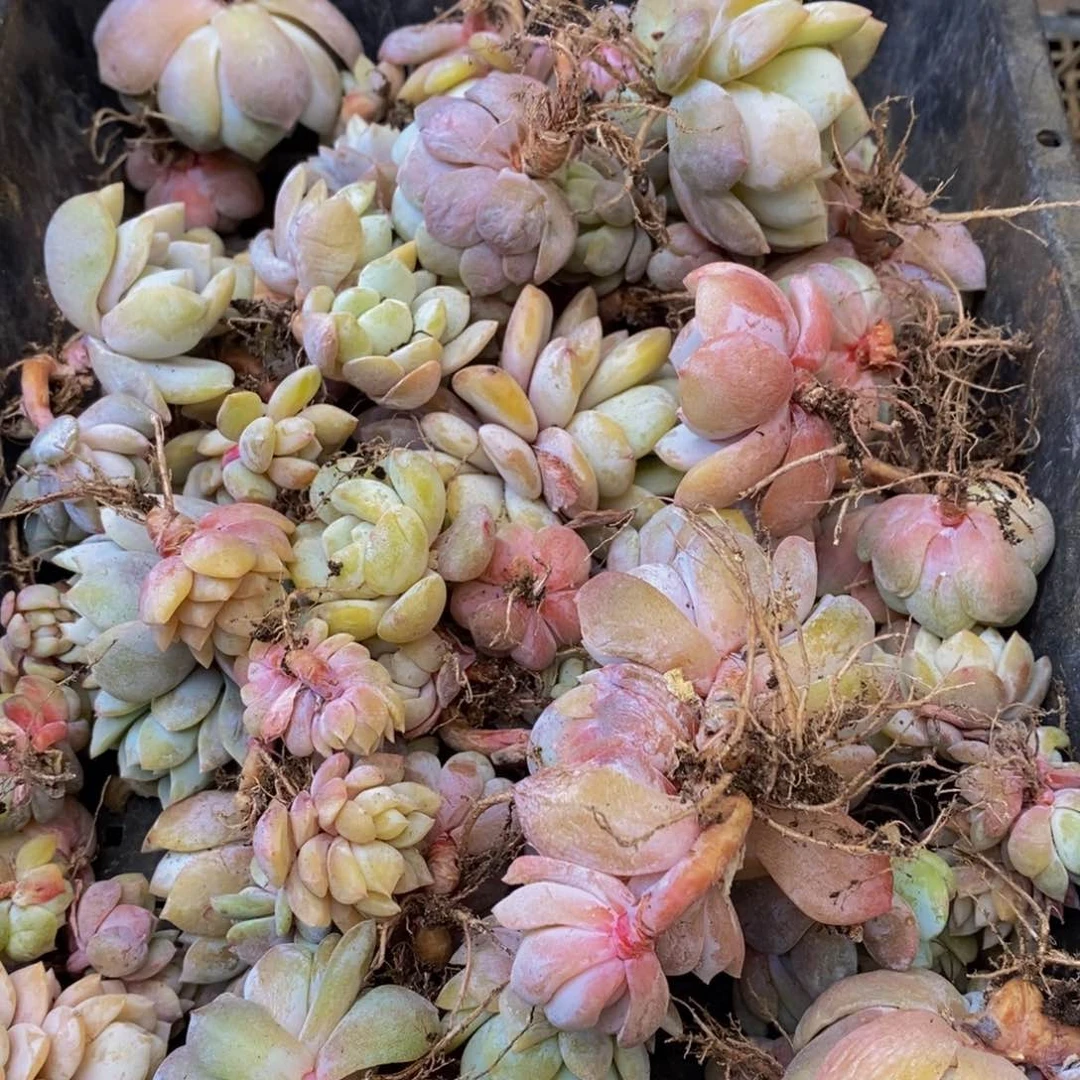 473的我是个不懂你的人