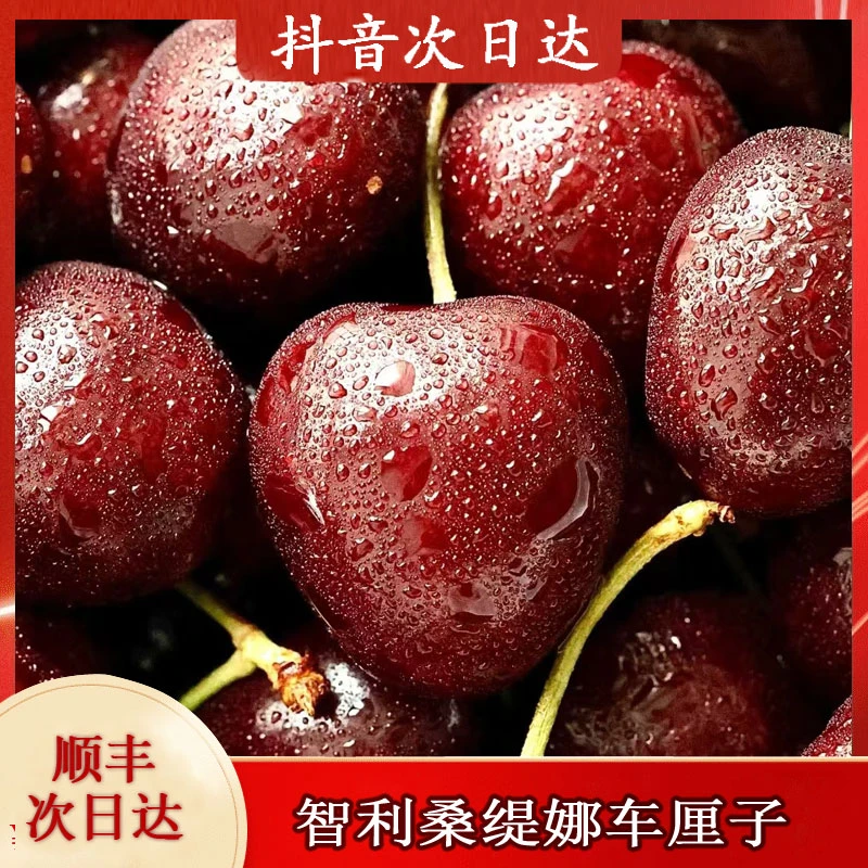 【年货大促】2智利进口桑提娜车厘子2JD-4JD/5斤原箱不拆封顺丰包邮到家
