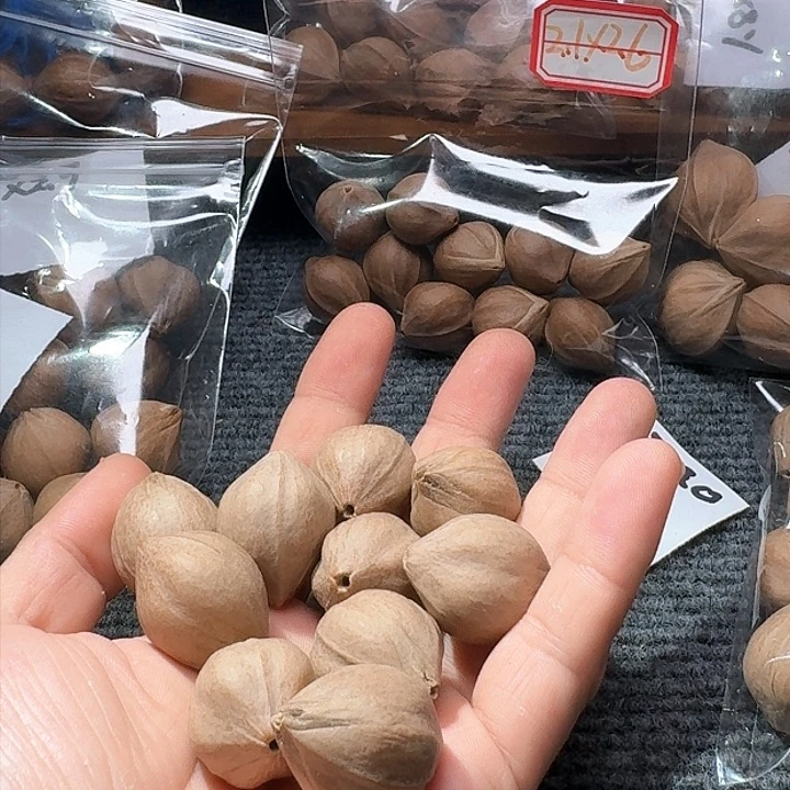 吊坠橄榄核凉*丶2.3❌3.0