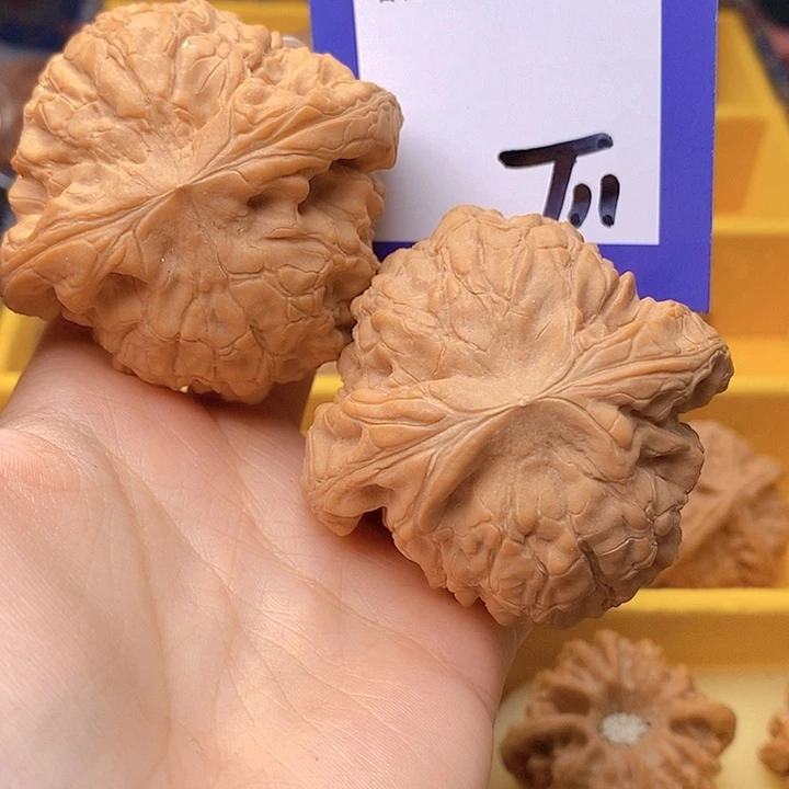 T****文玩核桃把件文玩核桃龙鼎11