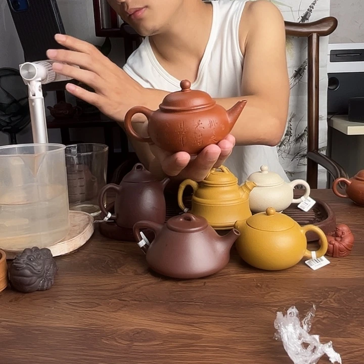 左***看茶壶紫砂原矿生砂老朱泥水平紫砂壶