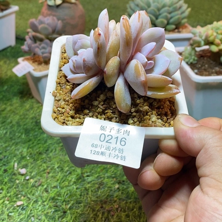 0216啊啊啊啊啊啊啊啊啊啊