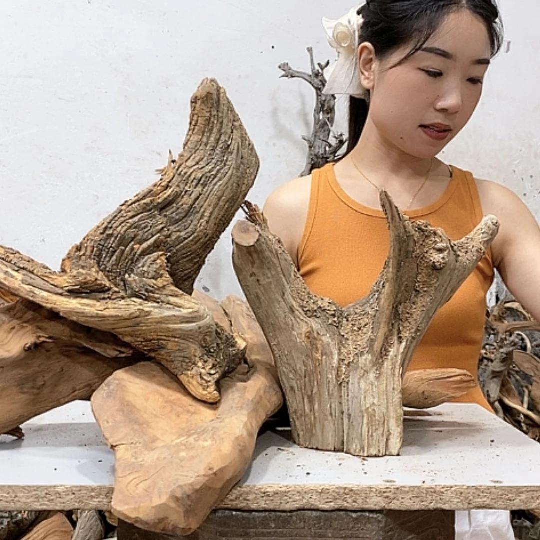 【闪购商品】柏木?我们都是好孩子啊