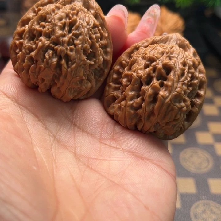 核桃40蚂蚁王文玩