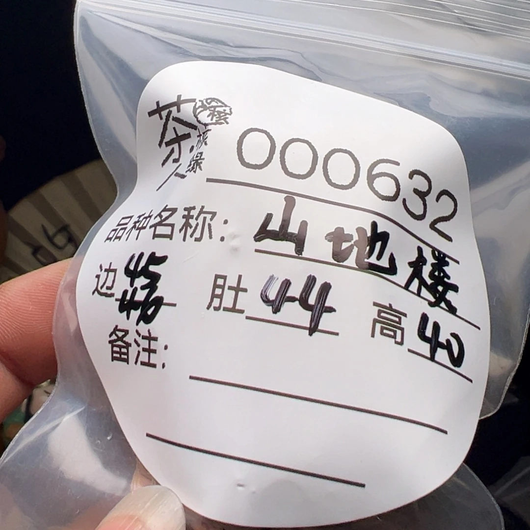 小***刘吊坠文玩核桃今天