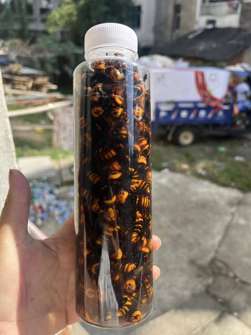 300只送50只火头蜂蜂标