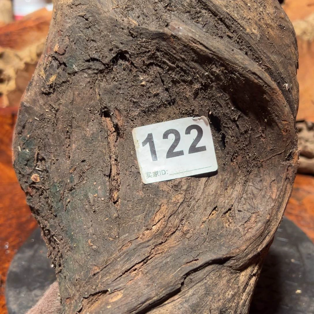 大果紫檀（缅甸花梨）