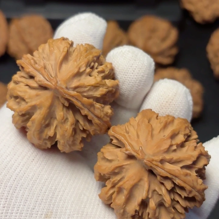 文玩核桃吊坠秦岭野生灯笼9