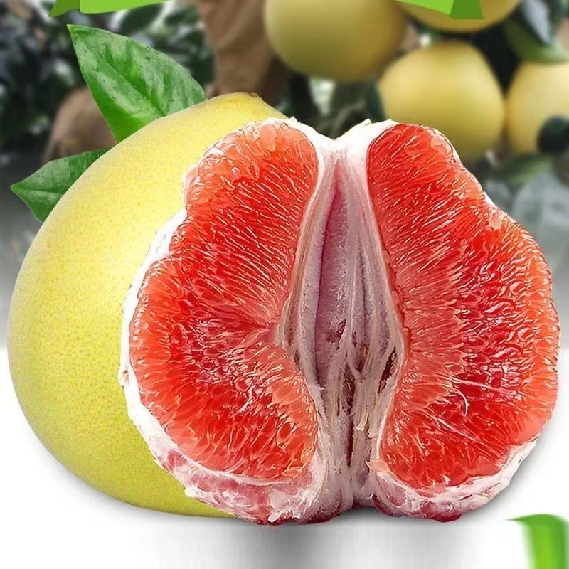 福建平和红心蜜柚皮薄多汁当季新鲜水果红肉柚子老树红柚