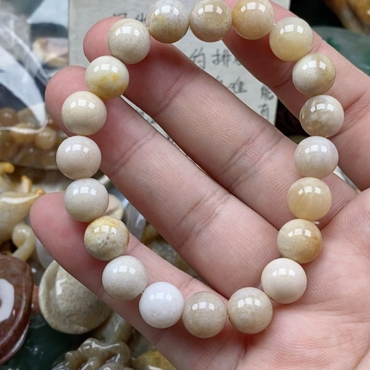 硅化珊瑚（珊瑚玉）未镶嵌颈饰