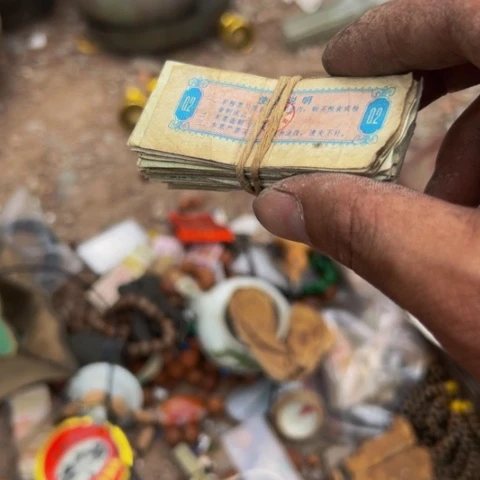 杂色豆（科檀/科特迪瓦檀木）王*子