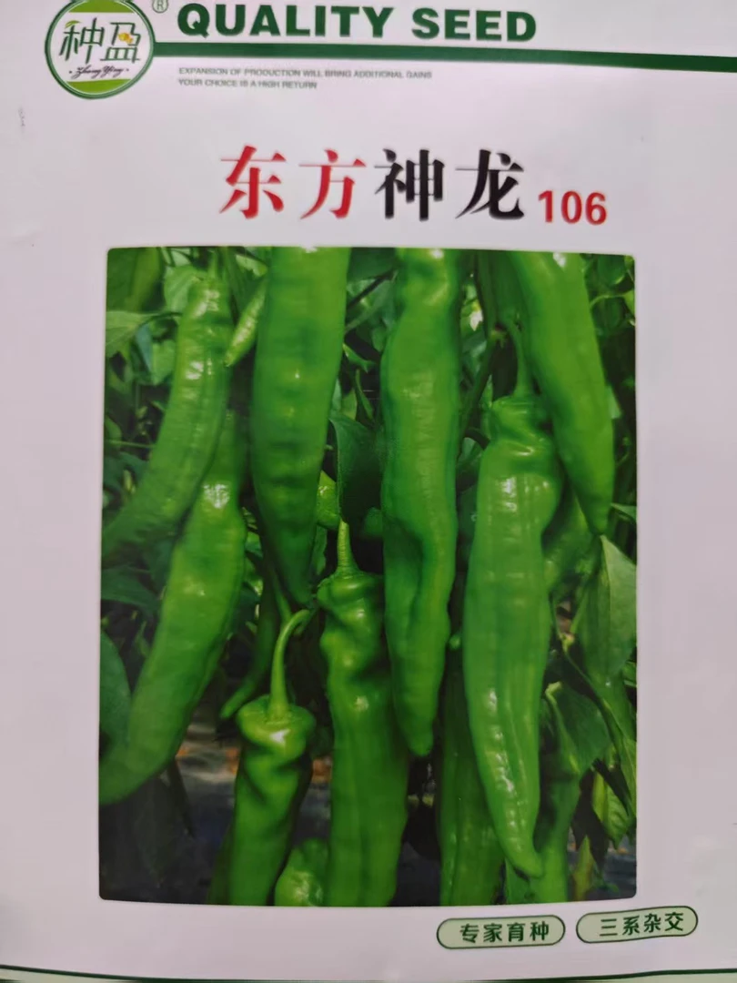 种盈东方神龙106牛角辣椒种子，果实浅，绿色光泽度好，抗病能力强，