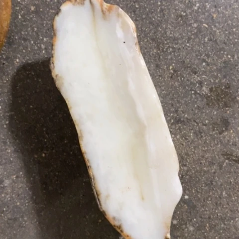未镶嵌和田玉（糖玉）挂件