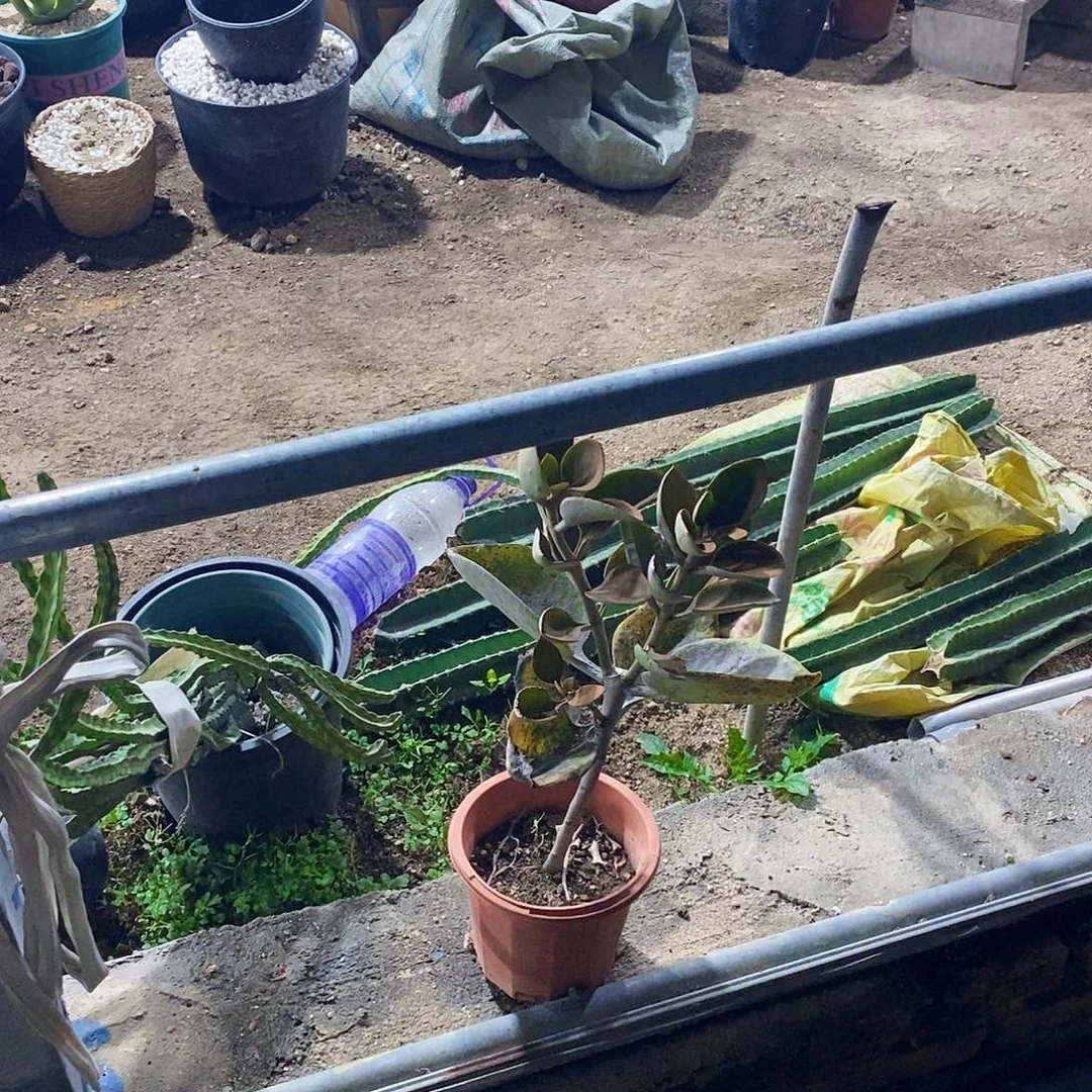 西***.00000000000000000000000