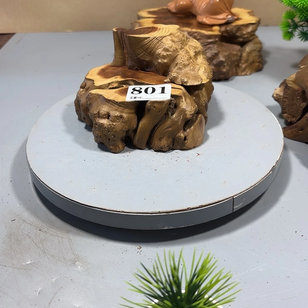 大果紫檀（缅甸花梨）会****）