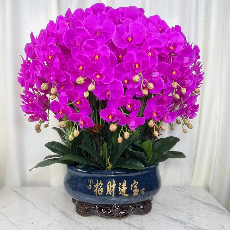 高档仿真蝴蝶兰花新款手感保湿客厅会议室酒店全套插花高颜值假花