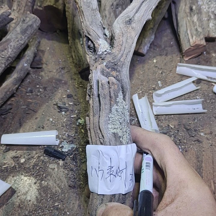 八***财火琉璃原杈不保沉水慎拍！