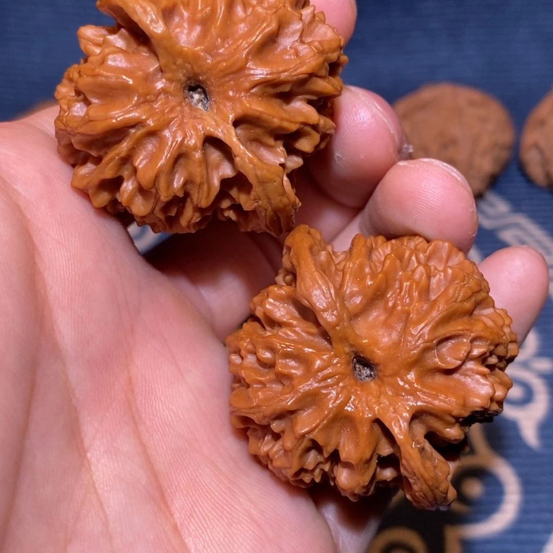 42尺 全品无修打好底 红皮    原桩苹果