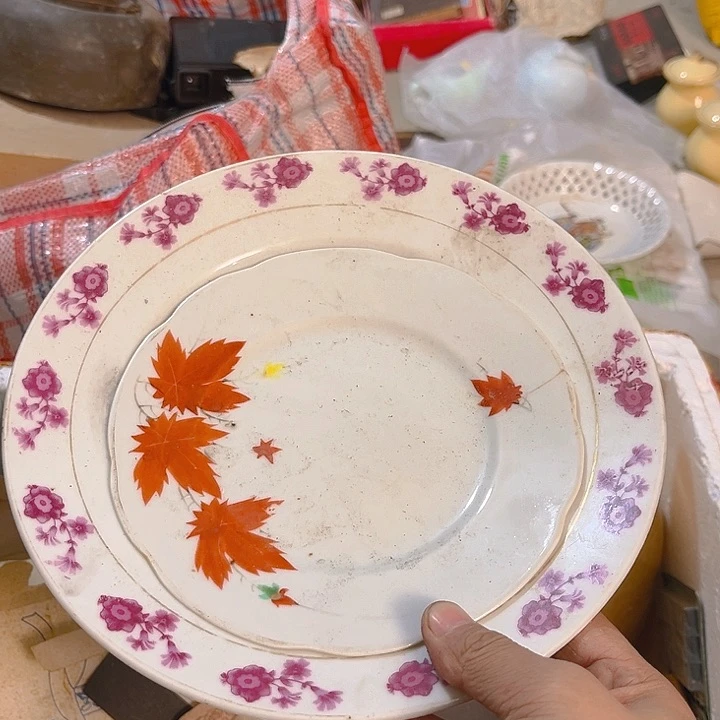 杂色豆（科檀/科特迪瓦檀木）苗*