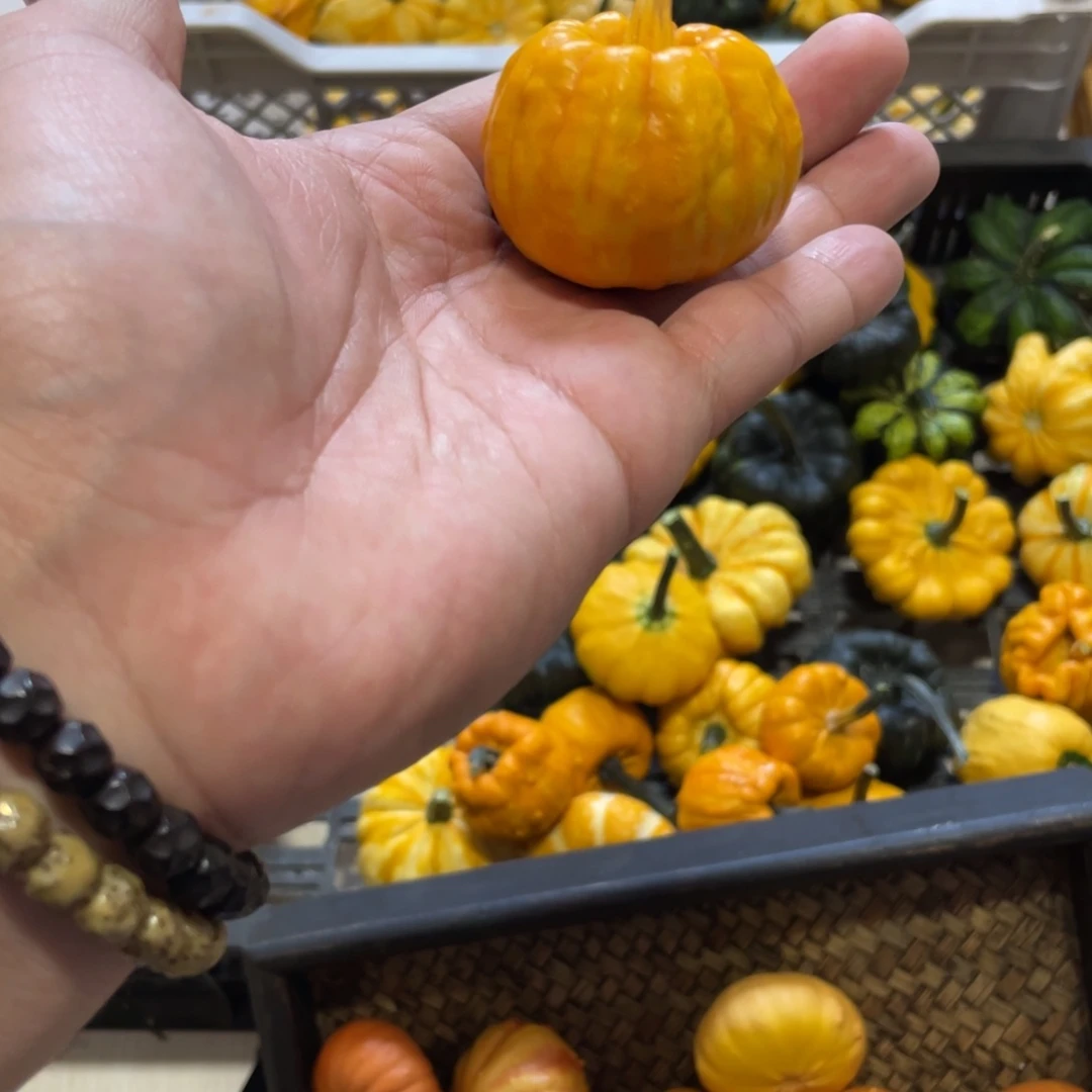 柳**阳111111111111111111111111