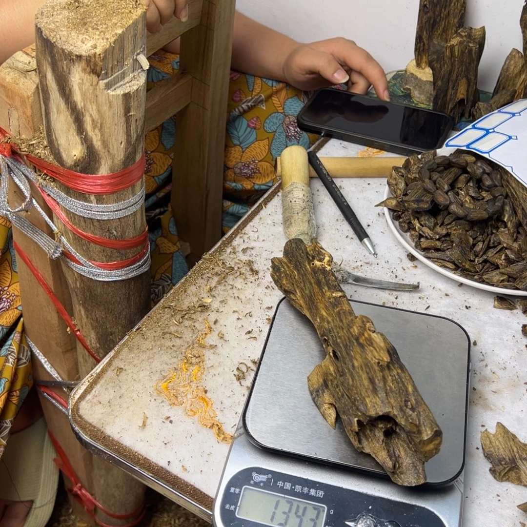 线香奇楠虫漏香134克