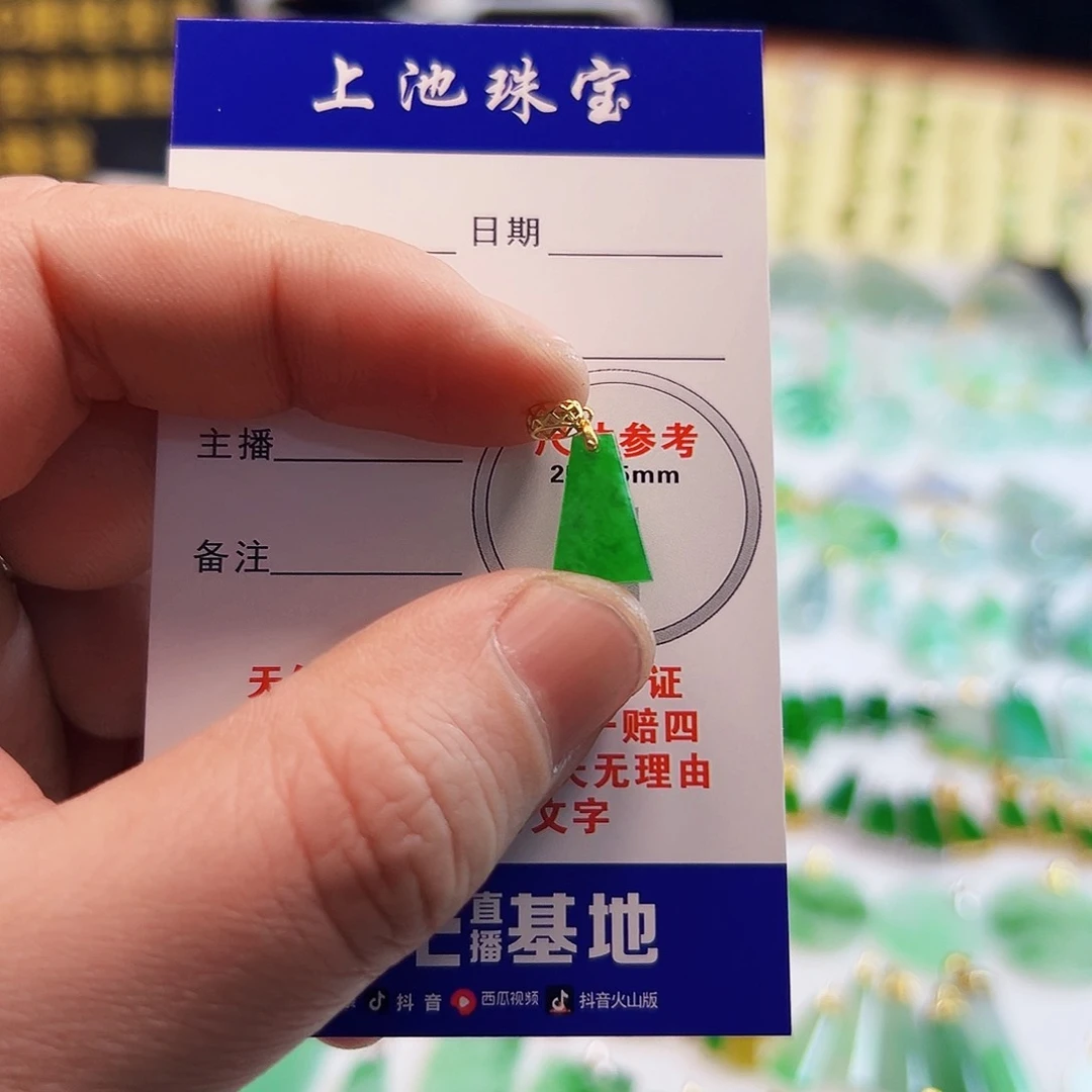 翡翠18K金镶嵌颈饰阿****樂翡翠